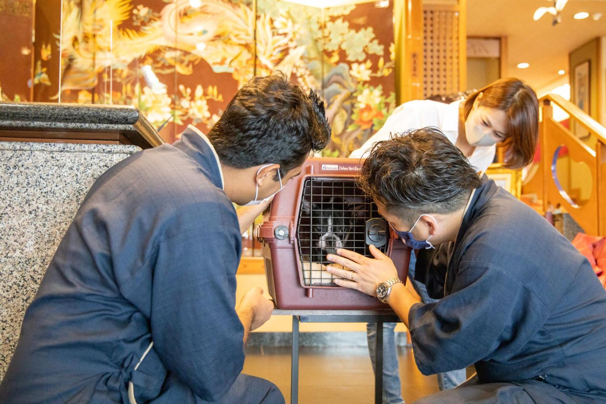 Komatsuya Hachinobou Izunokuni Eksteriør bilde
