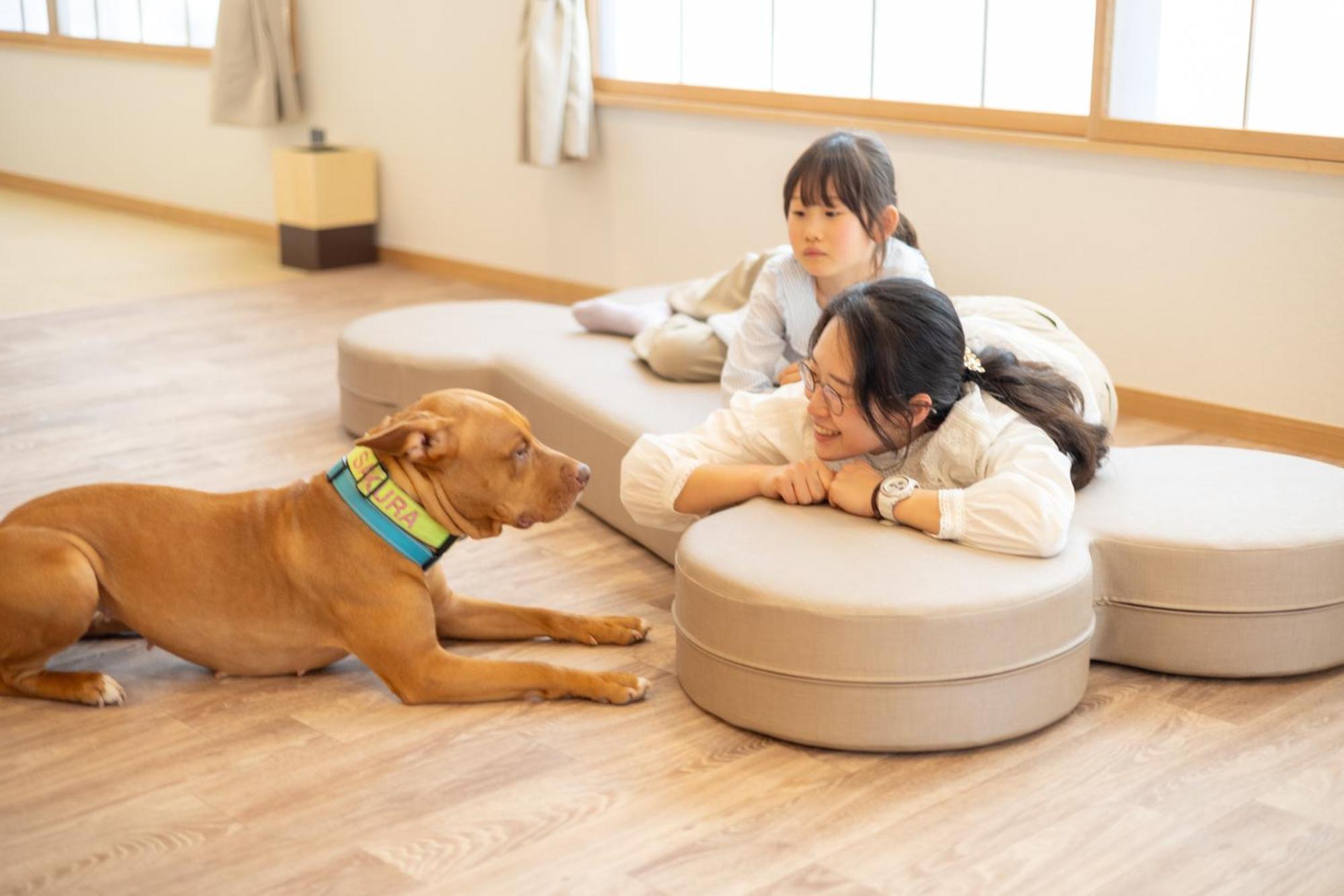 Komatsuya Hachinobou Izunokuni Eksteriør bilde